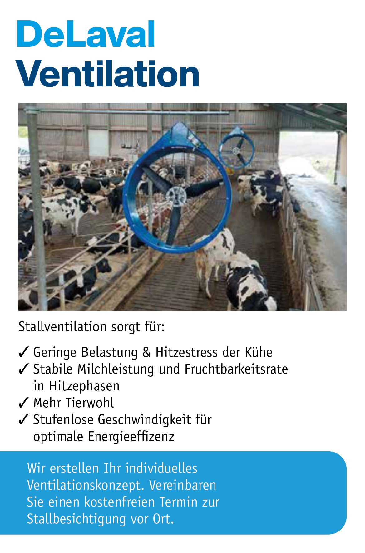 Aktuelle Angebote